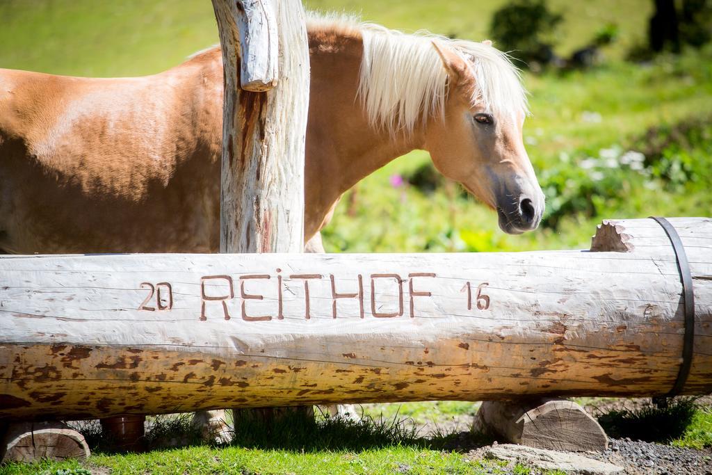 מלון סנט לאונרד אים פיצטל Almhof-Reithof Pitztal מראה חיצוני תמונה